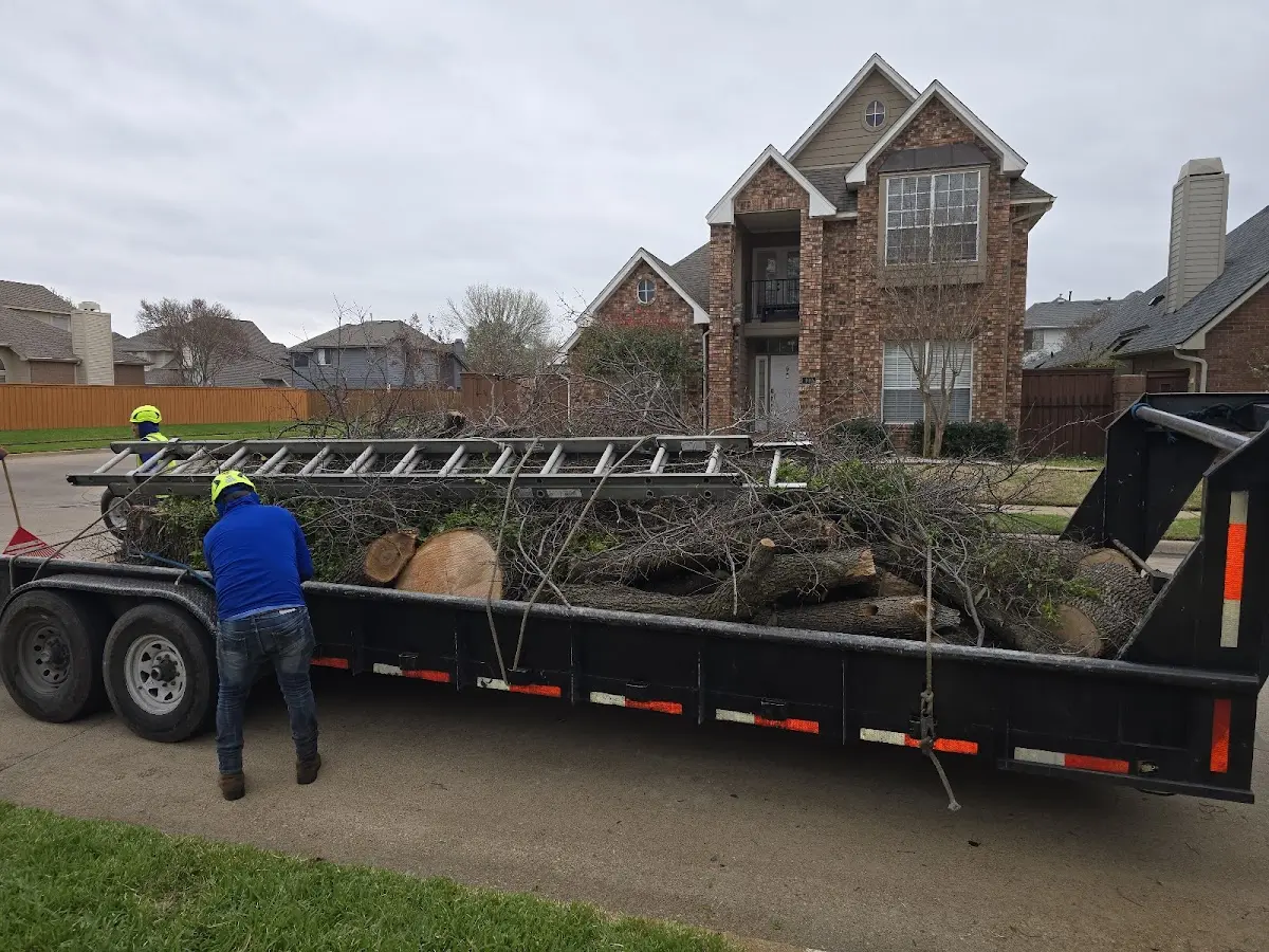 Expert Tree Fertilization with proper safety equipment in Gheens